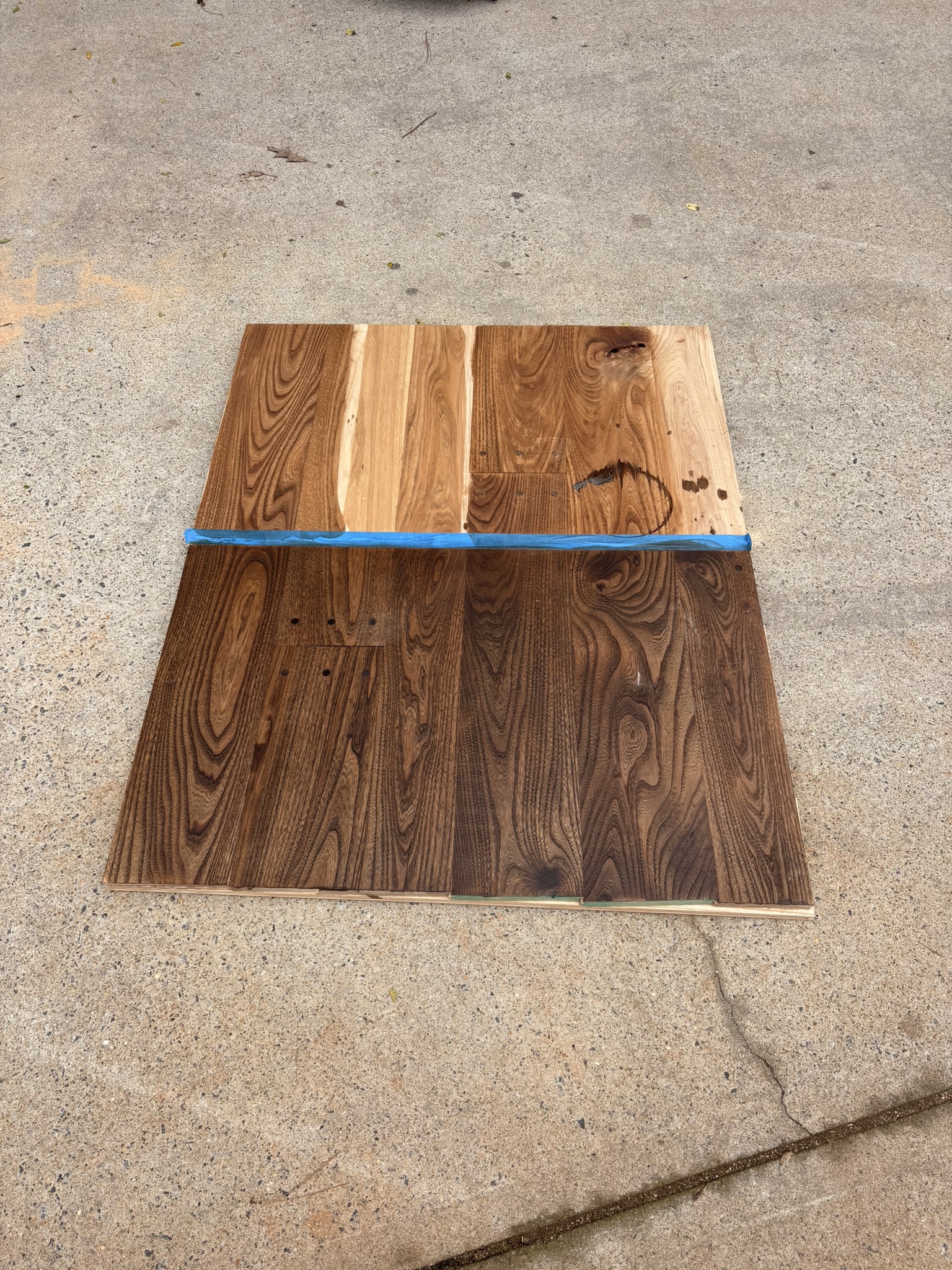 Elm stain sample