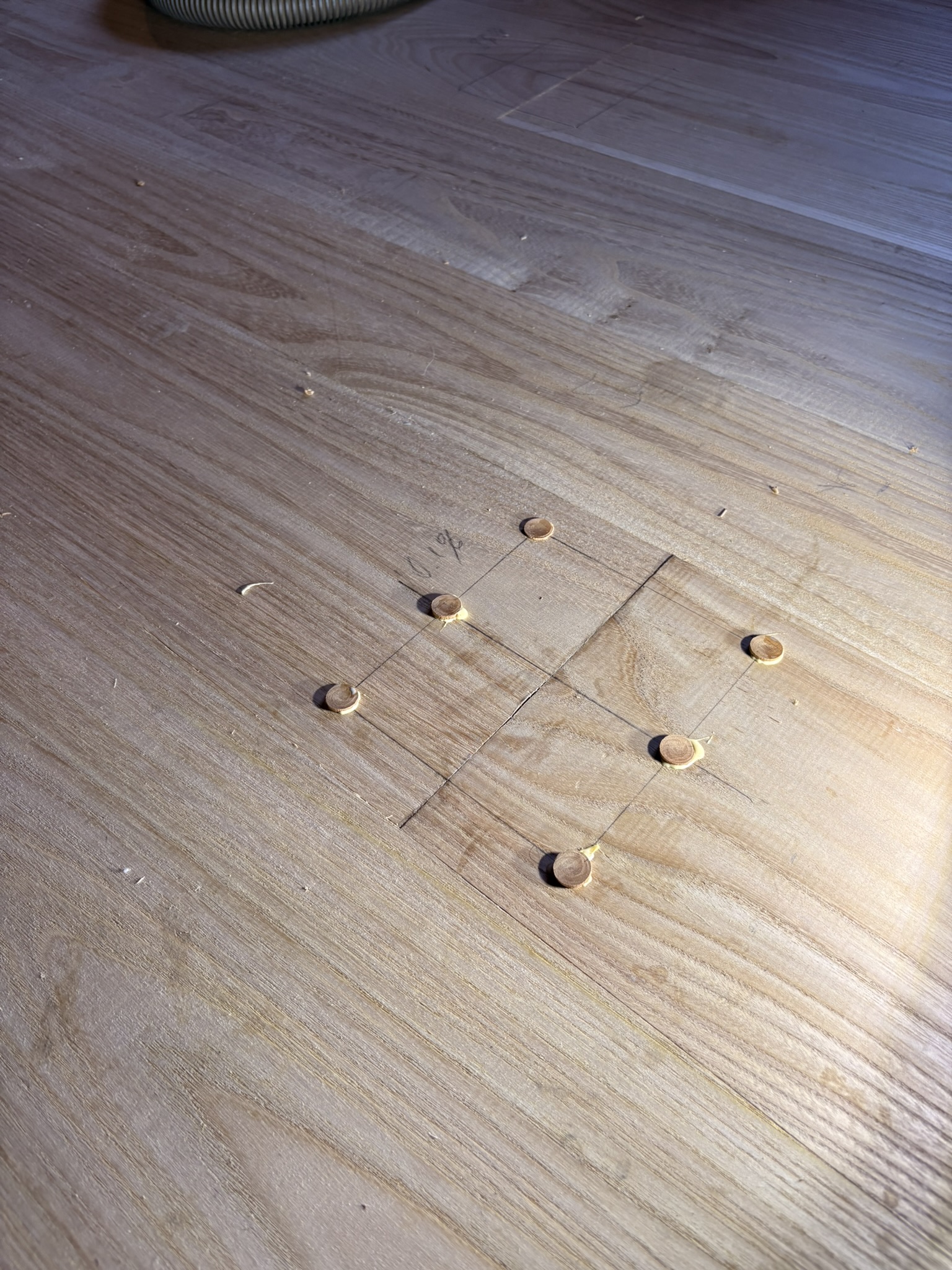installing wood pegs on Elm floor